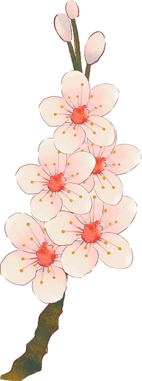 Soft Painting Cherry Blossom Flower